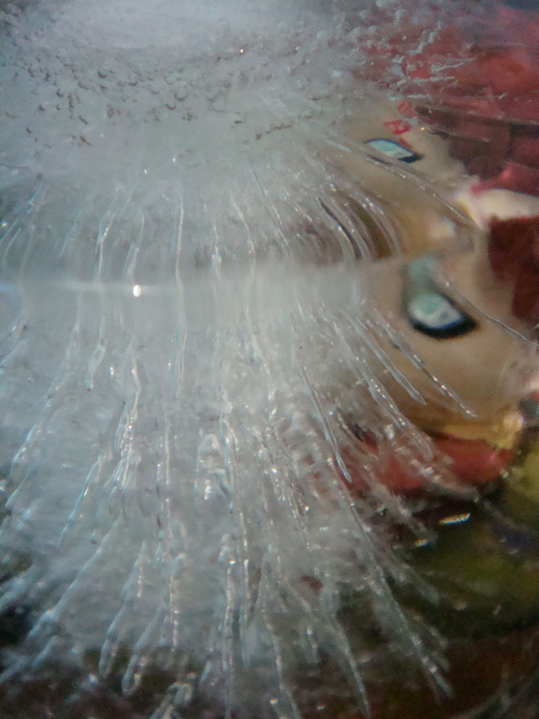 Photography by eakilit for DesignCrowd (Community Contests) | Design #8985467