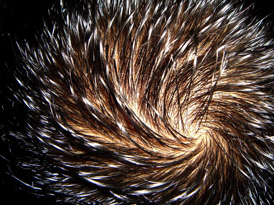 Photography by eakilit for DesignCrowd (Community Contests) | Design #8984730