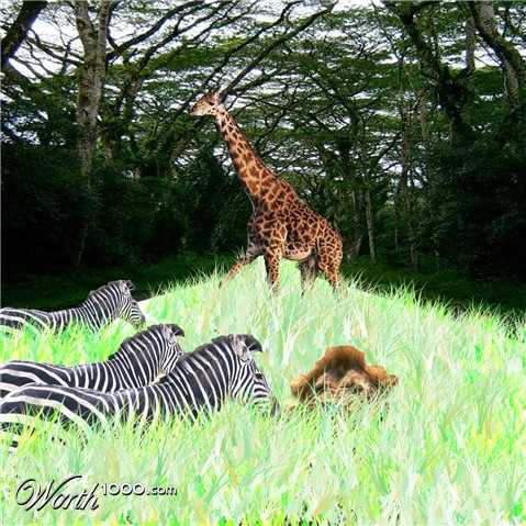 Photoshop Design by mbilyou