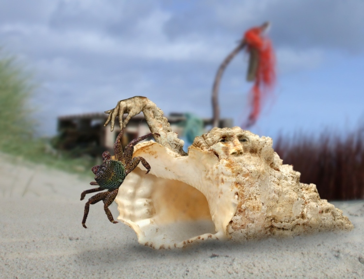 Photoshop Design by doehlman for DesignCrowd (Community Contests) | Design #8983988