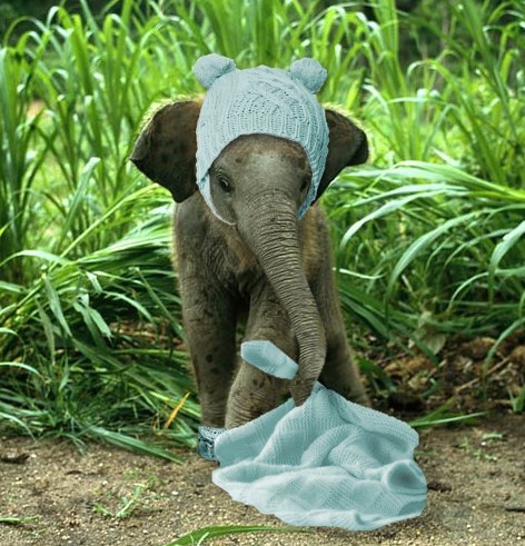 Photoshop Design by mroberts for DesignCrowd (Community Contests) | Design #8982202