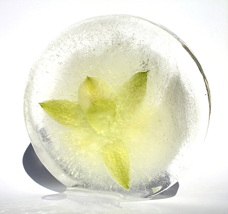 Fotografía por IsleofJura para DesignCrowd (Community Contests) | Diseño #8985370