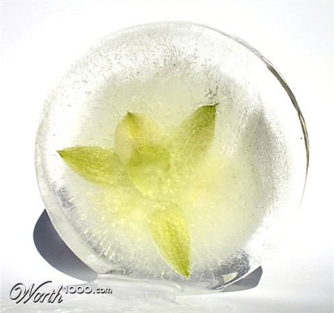 Photography by IsleofJura