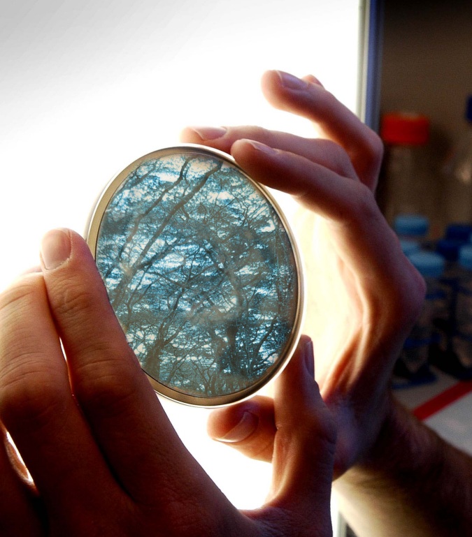 Photoshop Design by jdbeckers for DesignCrowd (Community Contests) | Design #8984702