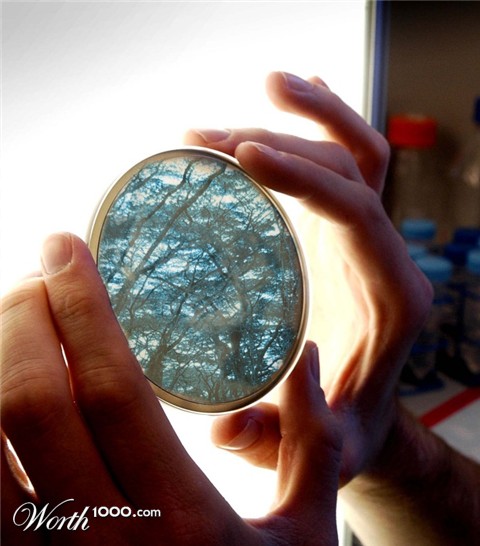 Photoshop Design by jdbeckers