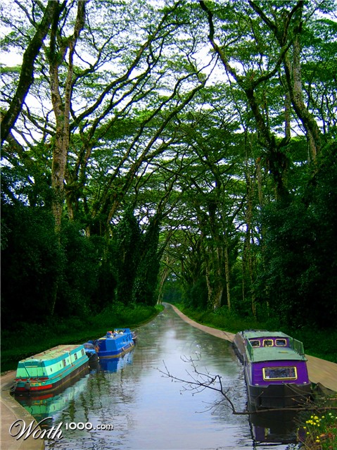 Photoshop Design by gavinv