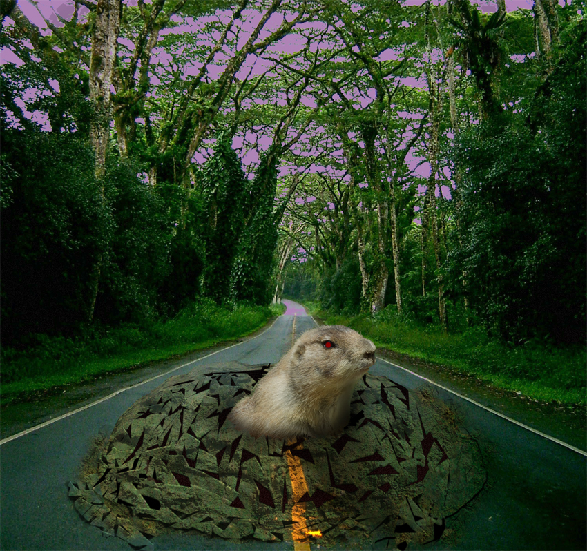 Photoshop Design by lucimine for DesignCrowd (Community Contests) | Design #8984728