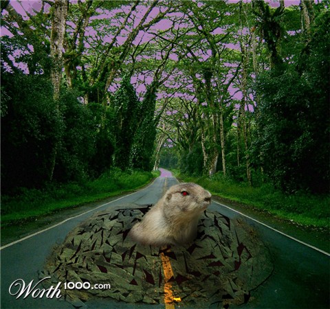 Photoshop Design by lucimine