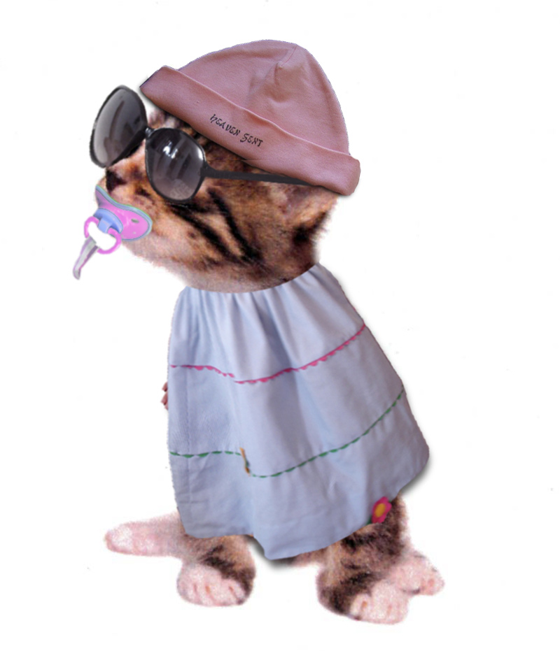 Diseño de Photoshop por jaysin777 para DesignCrowd (Community Contests) | Diseño #8982150