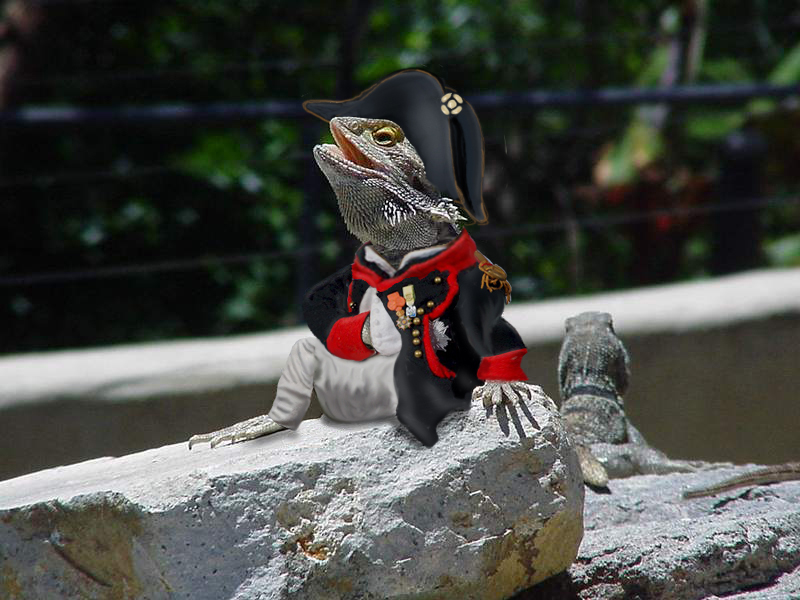 Photoshop Design by BlueHeron for DesignCrowd (Community Contests) | Design #8982161