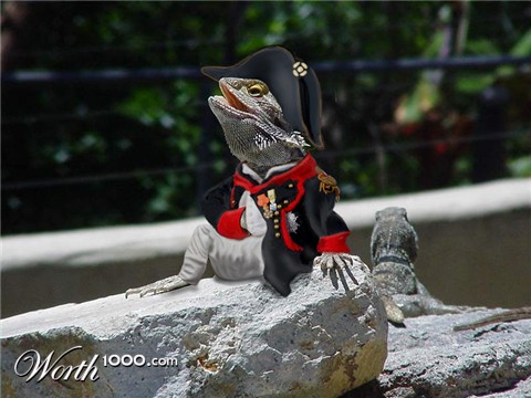 Photoshop Design by BlueHeron