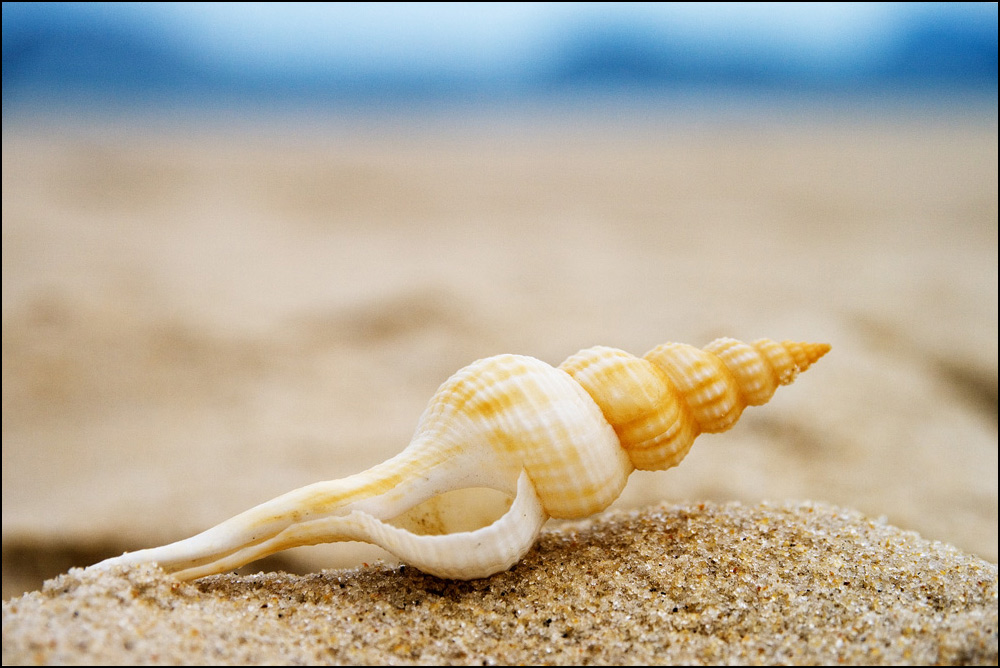 Photography by Pr4ktic for DesignCrowd (Community Contests) | Design #8984708