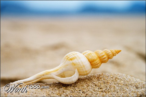 Photography by Pr4ktic