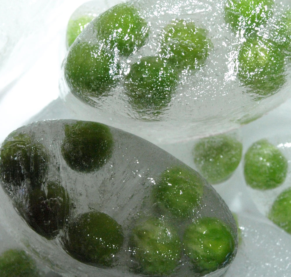 Fotografía por exposed para DesignCrowd (Community Contests) | Diseño #8985503