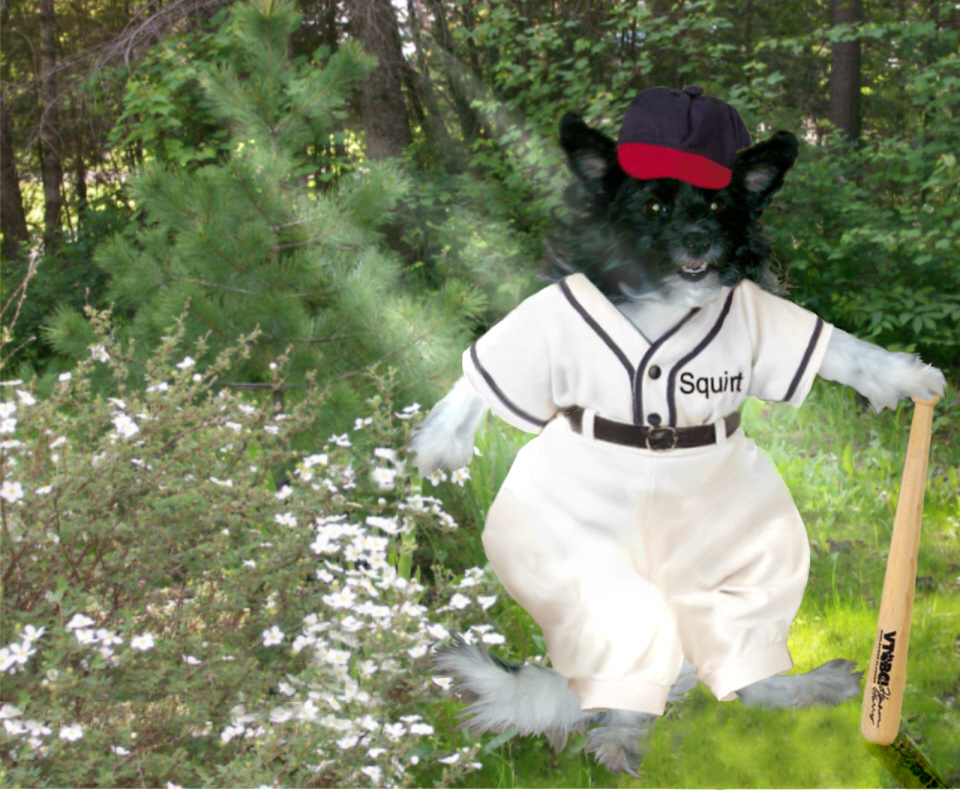 Photoshop-Design von kathiess für DesignCrowd (Community Contests) | Design #8982144