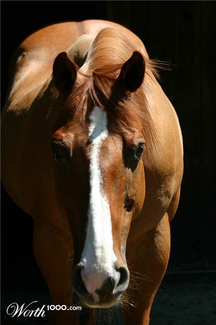 Photography by bbfarmer