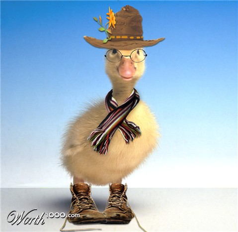 Photoshop Design by kwize53