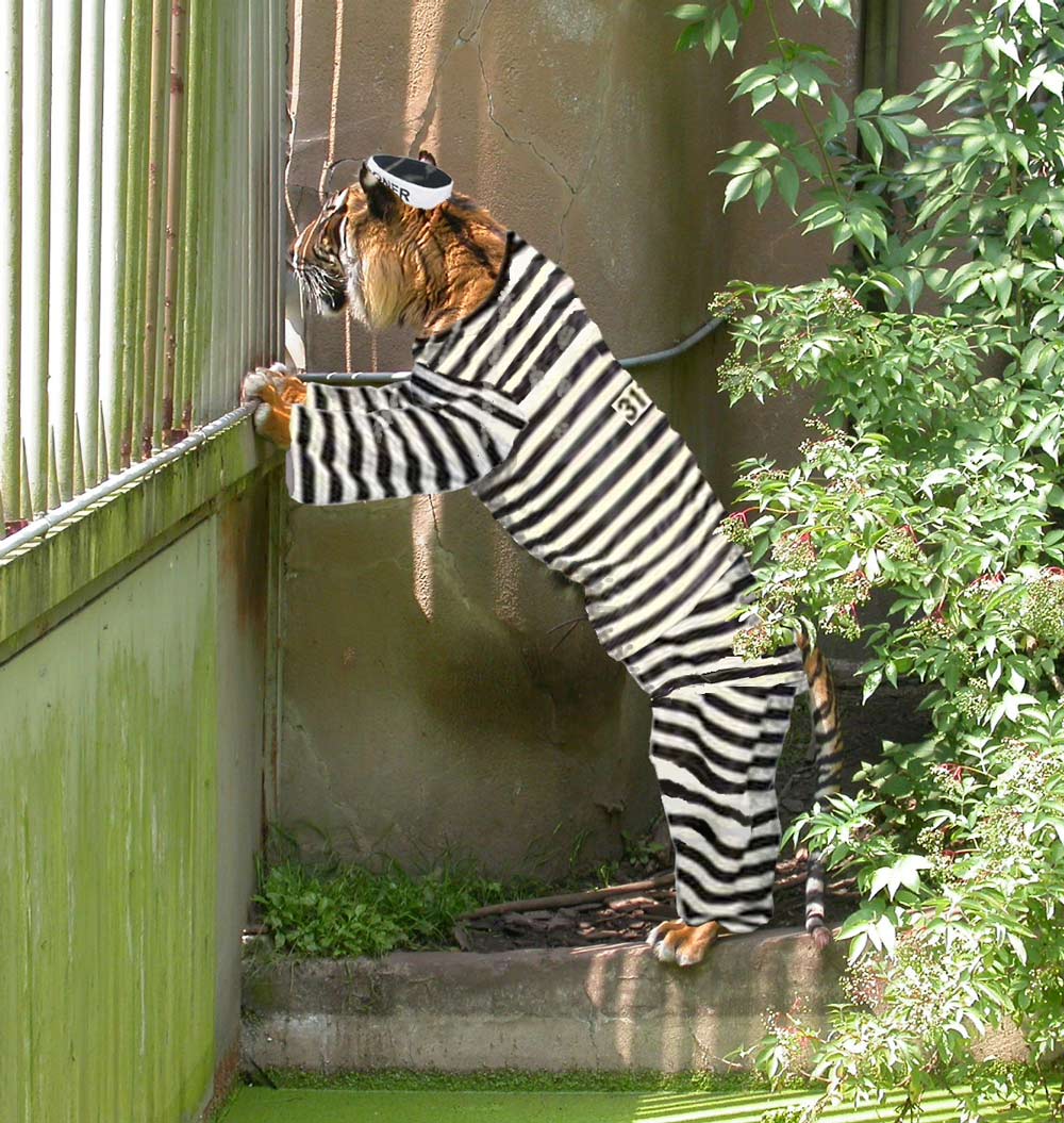 Photoshop Design by exposed for DesignCrowd (Community Contests) | Design #8982177