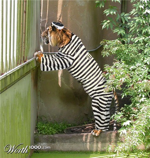 Photoshop Design by exposed