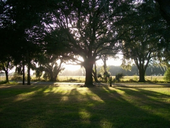 Photography by coffeecrazy4 for DesignCrowd (Community Contests) | Design #8984726