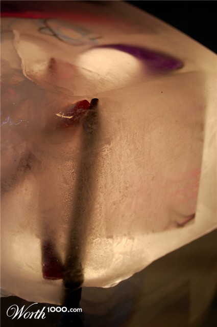 Photography by learn2swim96