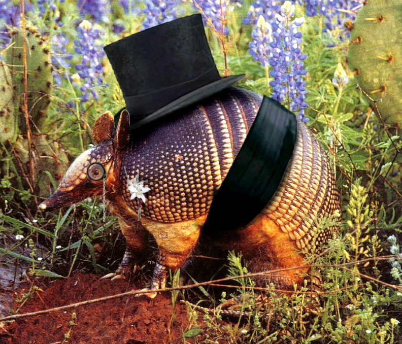 Photoshop Design by DimDag for DesignCrowd (Community Contests) | Design #8982306