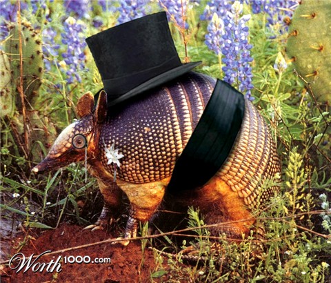 Photoshop Design by DimDag