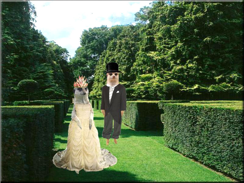 Design Photoshop par OoLiLiTHoO pour DesignCrowd (Community Contests) | Design #8982319