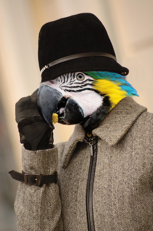 Design Photoshop par sherylphotomagic pour DesignCrowd (Community Contests) | Design #8982272