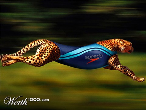 Photoshop Design by kahuahua