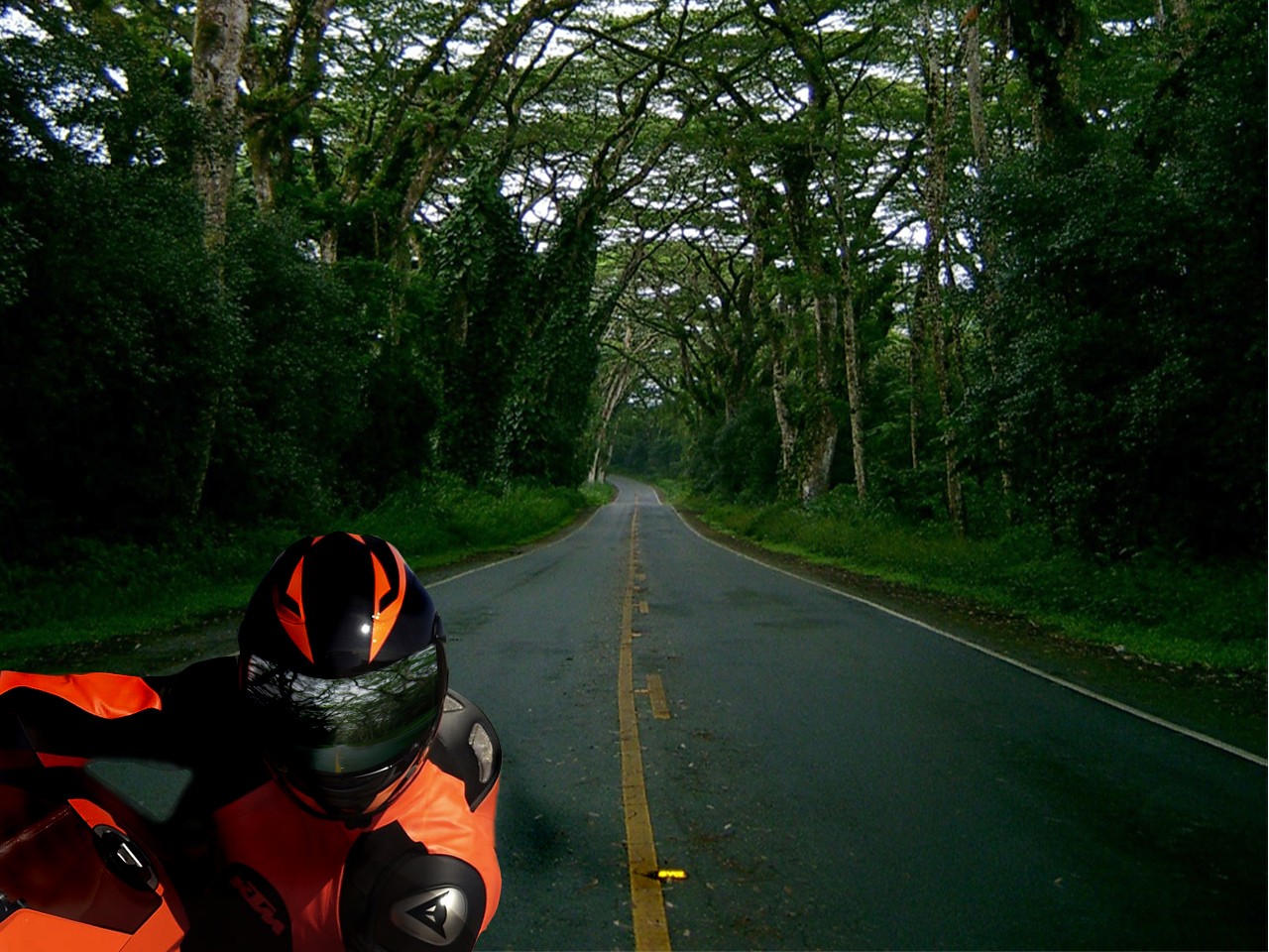 Photoshop Design by liefiecat for DesignCrowd (Community Contests) | Design #8984815