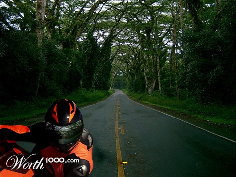 Photoshop Design by liefiecat