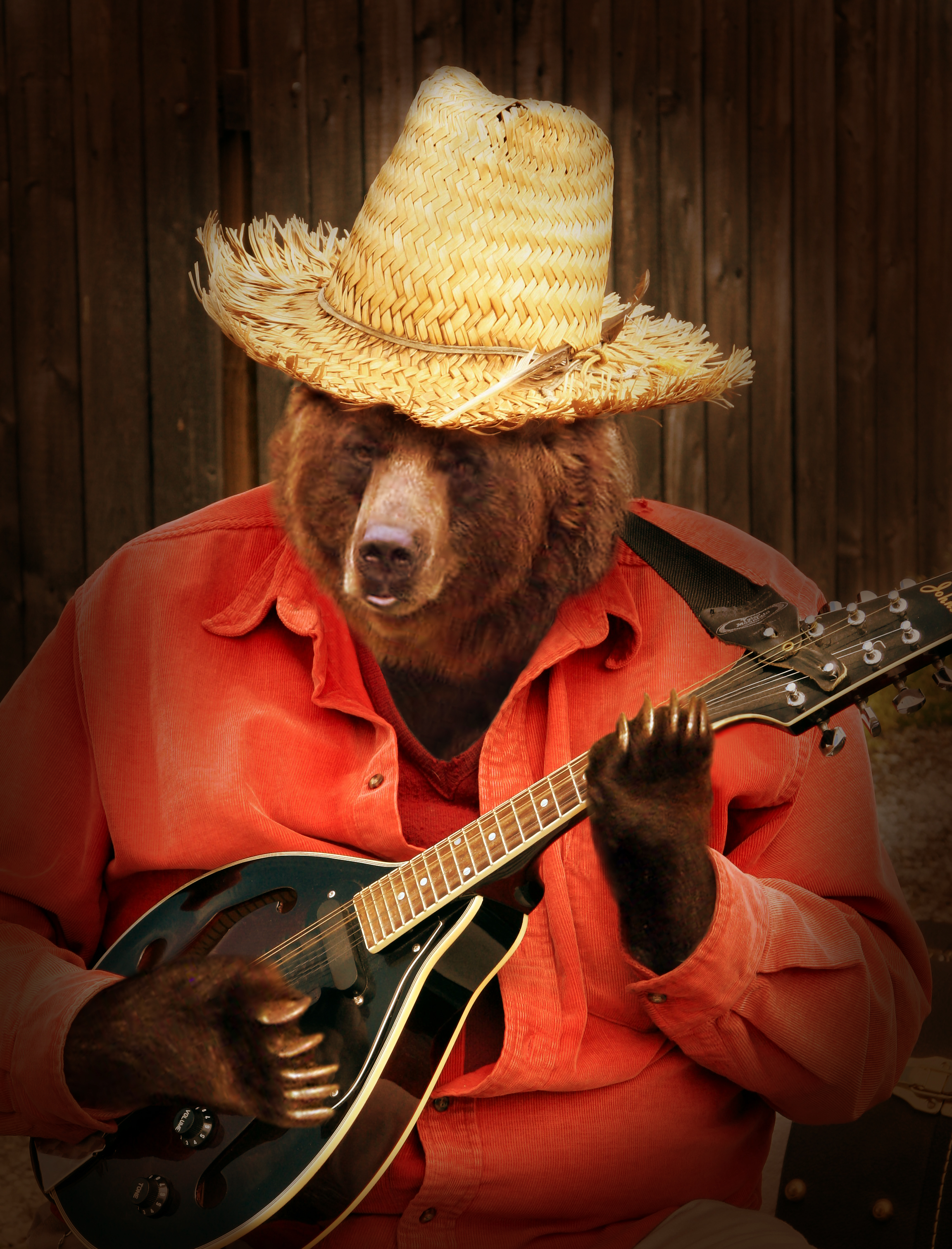 Design Photoshop par gopankarichal pour DesignCrowd (Community Contests) | Design #8980352