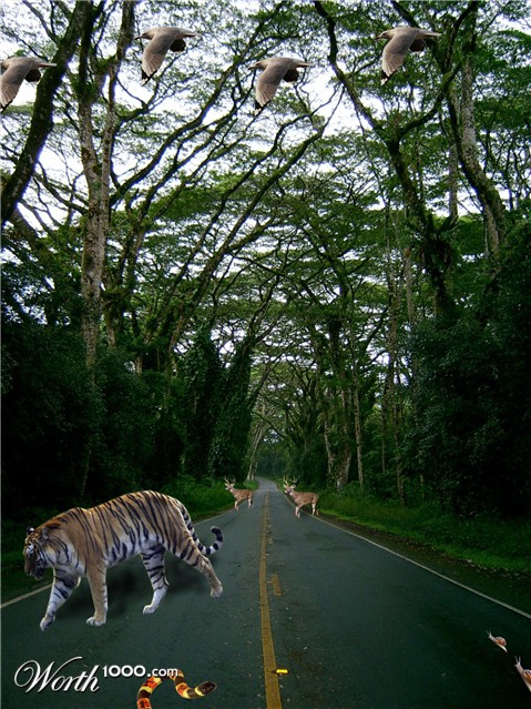 Photoshop Design by oliverdeane