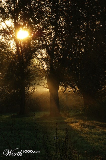 Photography by toscio