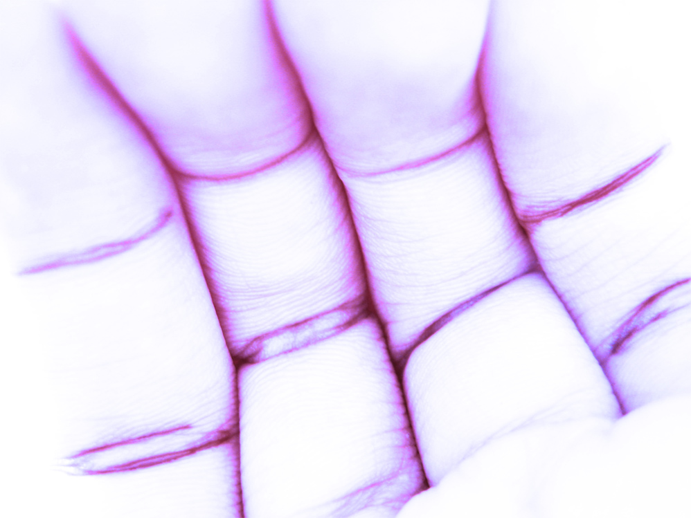 Fotografie von francodr für DesignCrowd (Community Contests) | Design #8981226