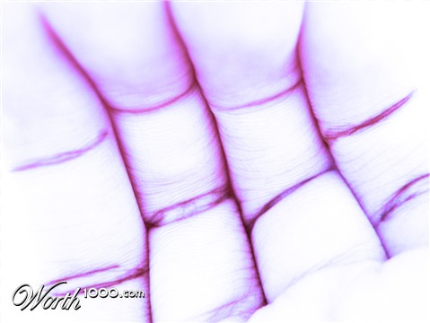 Photography by francodr