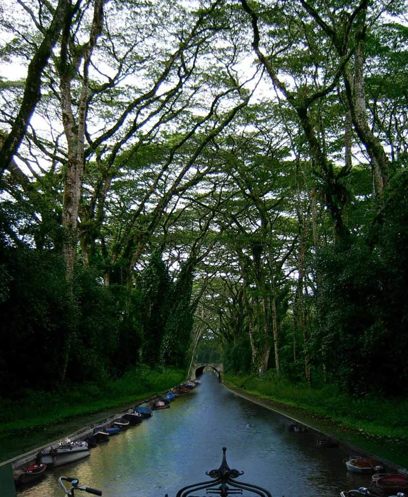 Photoshop Design by rexybaby for DesignCrowd (Community Contests) | Design #8984812