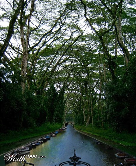 Photoshop Design by rexybaby