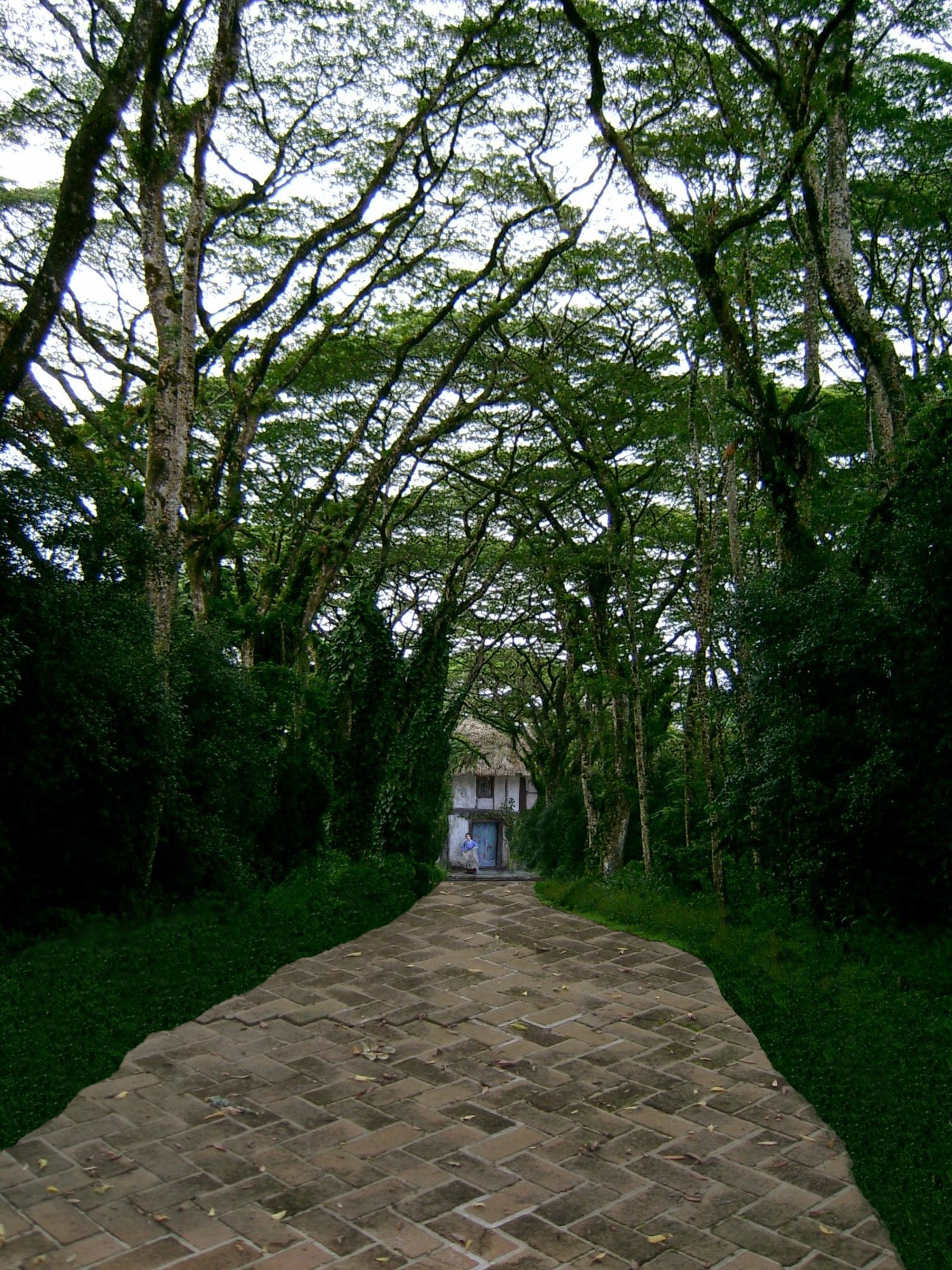 Design Photoshop par BOREDAMETHYST pour DesignCrowd (Community Contests) | Design #8984889