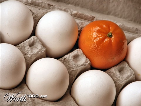 Photography by Suziecuchon