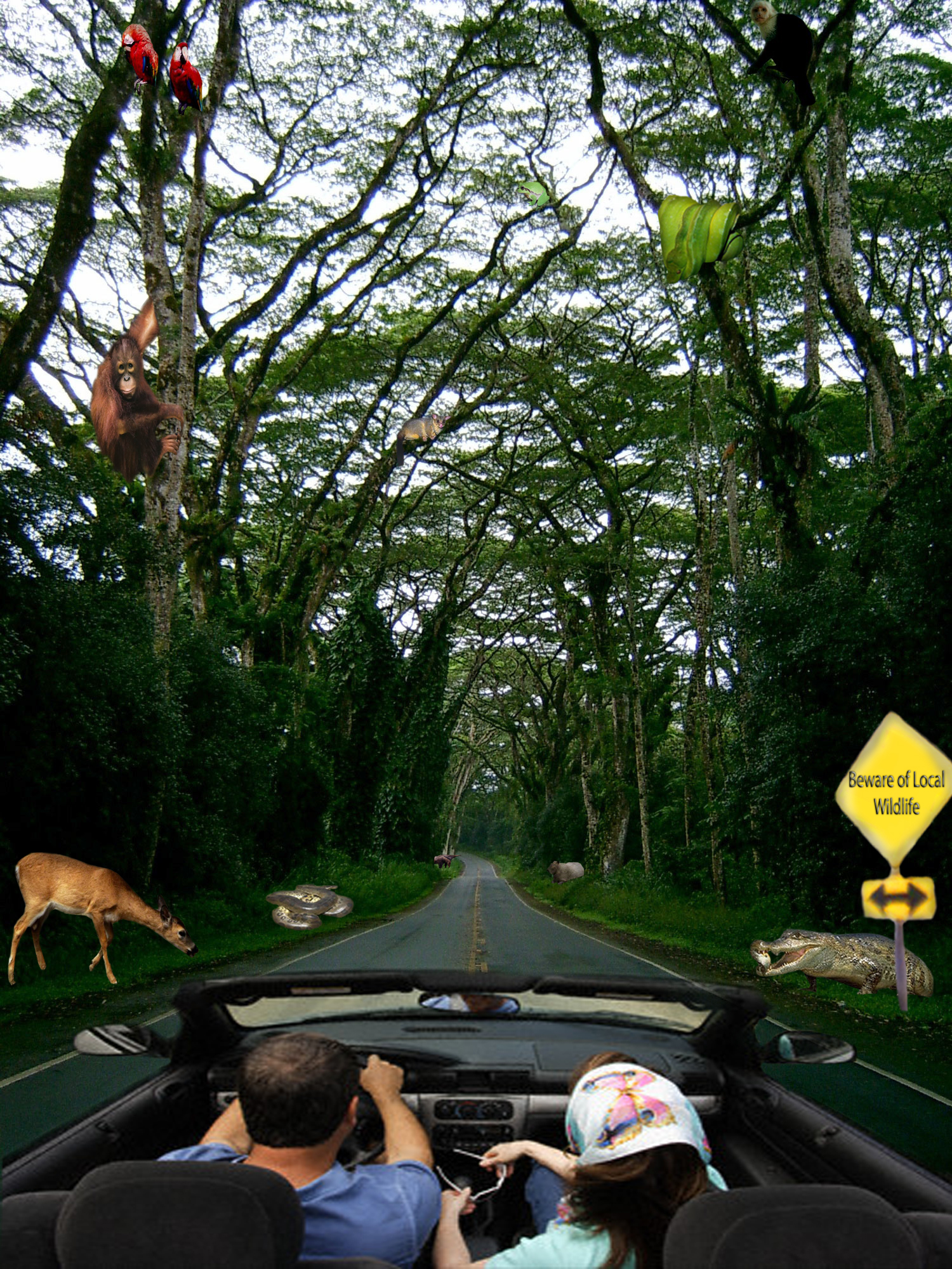 Photoshop Design by GByrd1982 for DesignCrowd (Community Contests) | Design #8984868