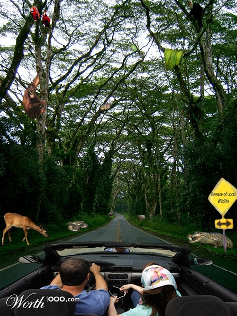 Photoshop Design by GByrd1982