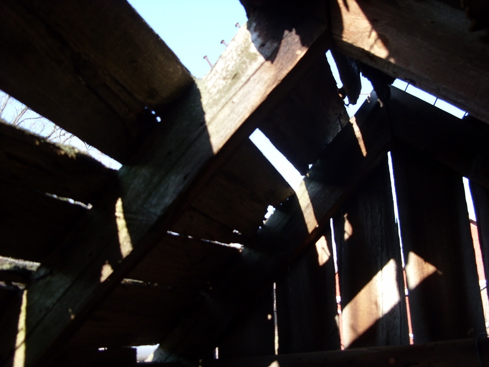 Photography by Chimmi for DesignCrowd (Community Contests) | Design #8984769