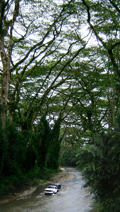 Design Photoshop par YearoftheDragon pour DesignCrowd (Community Contests) | Design #8984833