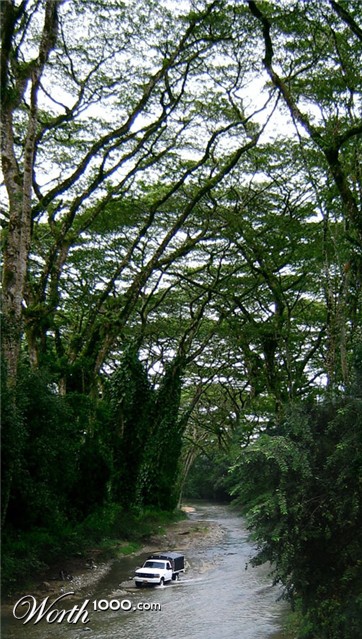 Photoshop Design by YearoftheDragon