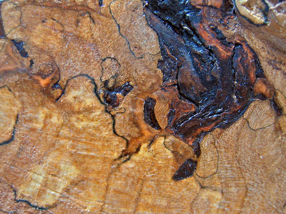 Photography by vramos11 for DesignCrowd (Community Contests) | Design #8981295