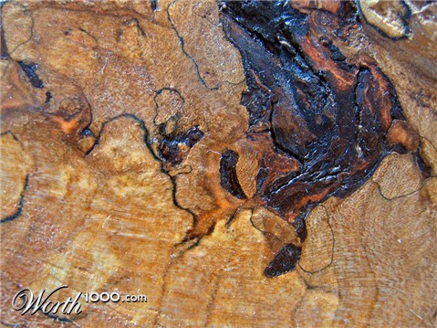 Photography by vramos11