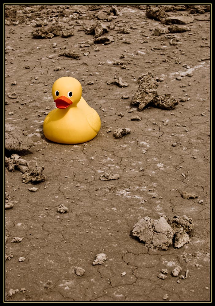 Photography by mysterio for DesignCrowd (Community Contests) | Design #8983338