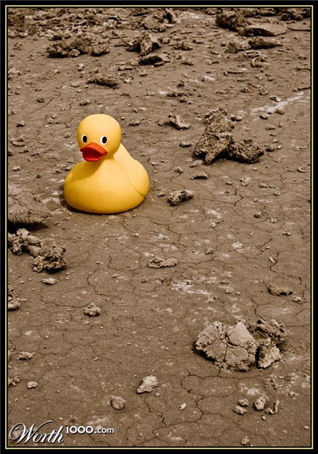 Photography by mysterio